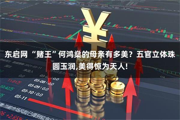 东启网 “赌王”何鸿燊的母亲有多美？五官立体珠圆玉润,美得惊为天人!