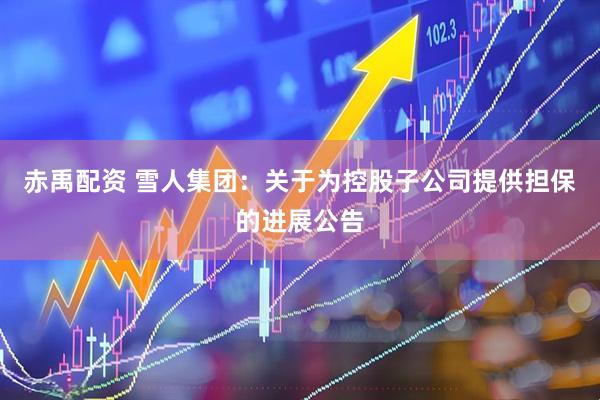 赤禹配资 雪人集团：关于为控股子公司提供担保的进展公告